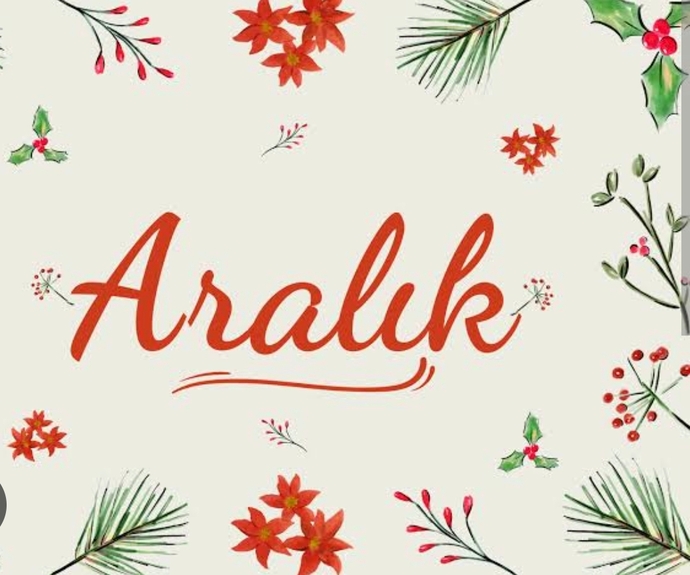 Aralık ayına nasıl başlangıç yaptınız?