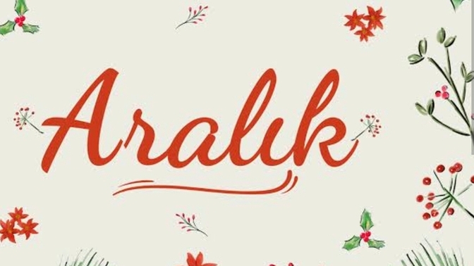 Aralık ayına nasıl başlangıç yaptınız?