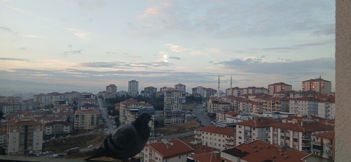 Bu yıl oğrendiginiz en büyük şey nedir?