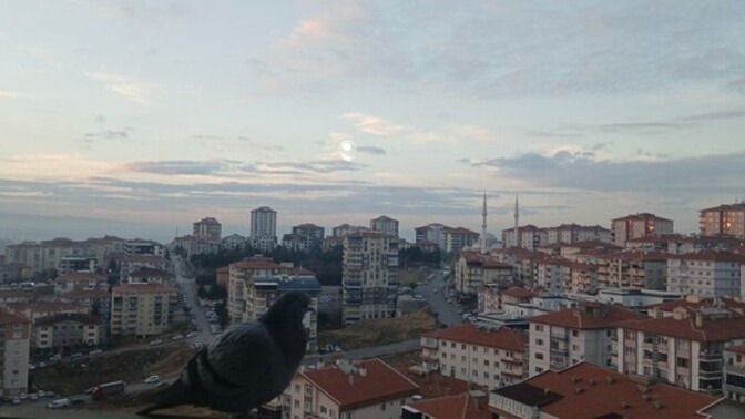 Bu yıl oğrendiginiz en büyük şey nedir?