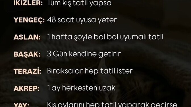 Burçların kaç gün tatile ihtiyacı varmış?
