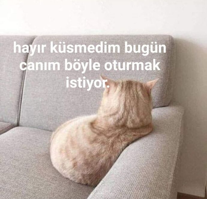Evet 3 yaş çocukluk krizine bile giriyor istediğini vermeyince.🩷