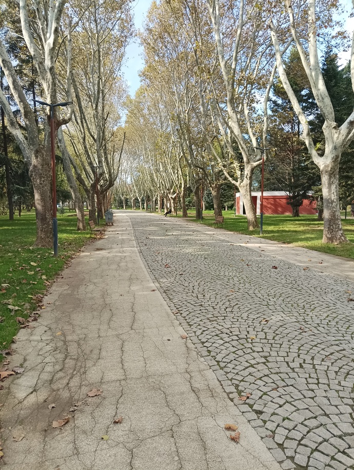 Sizin yolunuz nasıl?