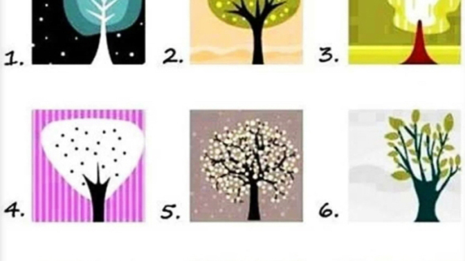 Görsele baktığında hangisini sana daha yakın hissediyorsun?