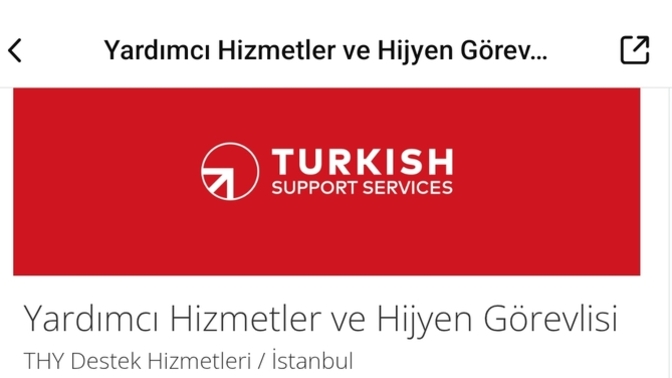 THY iş ilanı hakkında?