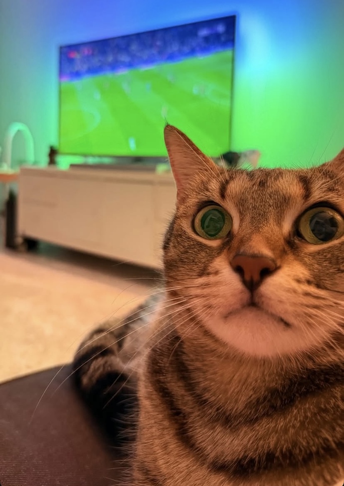 Sevgiliniz maç mı ben mi dedi. Ne cevap verirsiniz?