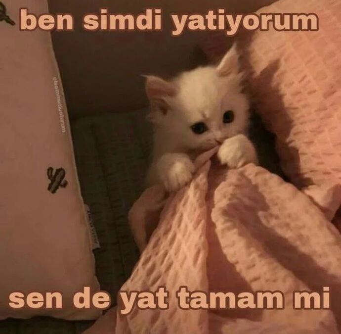 Sevgiliniz gece geç saatlerde dışarı çıkabiliyor mu?