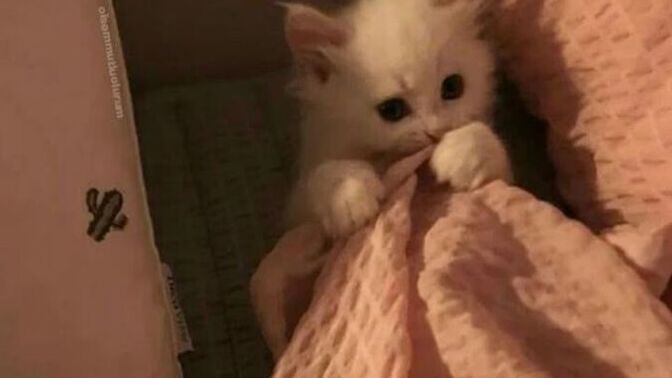 Sevgiliniz gece geç saatlerde dışarı çıkabiliyor mu?
