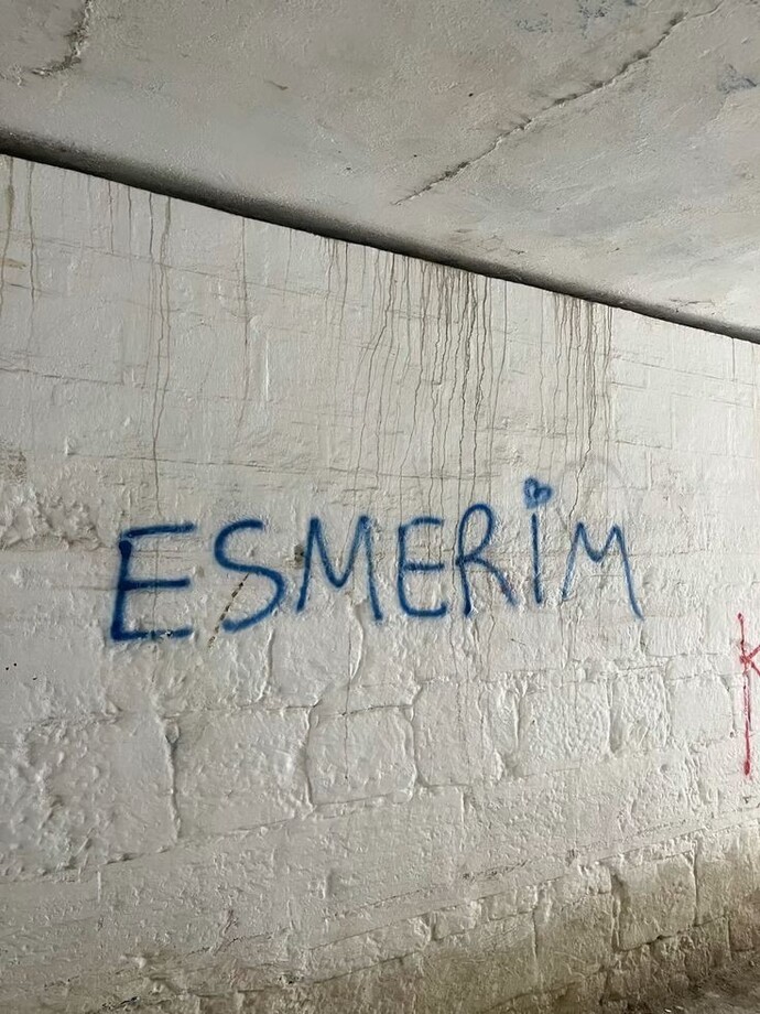 Esmer mi sarışın mı kumral mı?