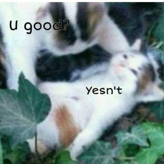 Acı ama babam 