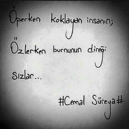 Bir insan kokusunu almadığı birinin kokusunu sevebilir mi?