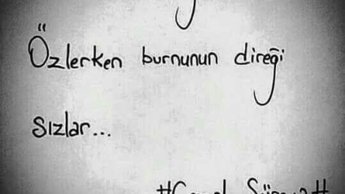 Bir insan kokusunu almadığı birinin kokusunu sevebilir mi?