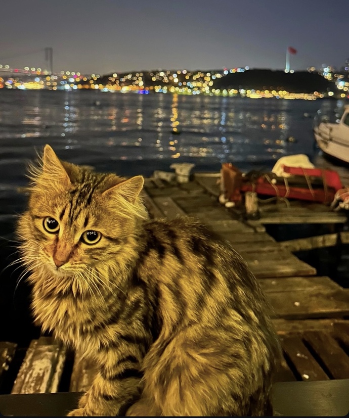 Erkeklerde aşk acısı çekerken ağlar mı?