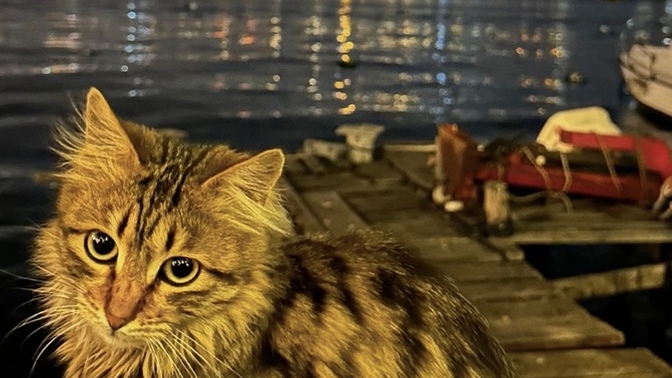 Erkeklerde aşk acısı çekerken ağlar mı?