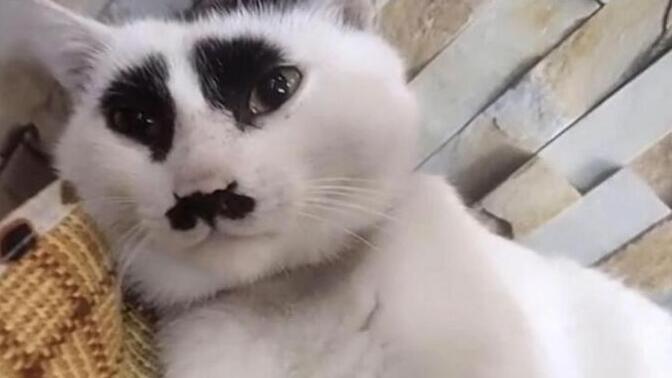 Hayat dolu musun hayat boş mu?
