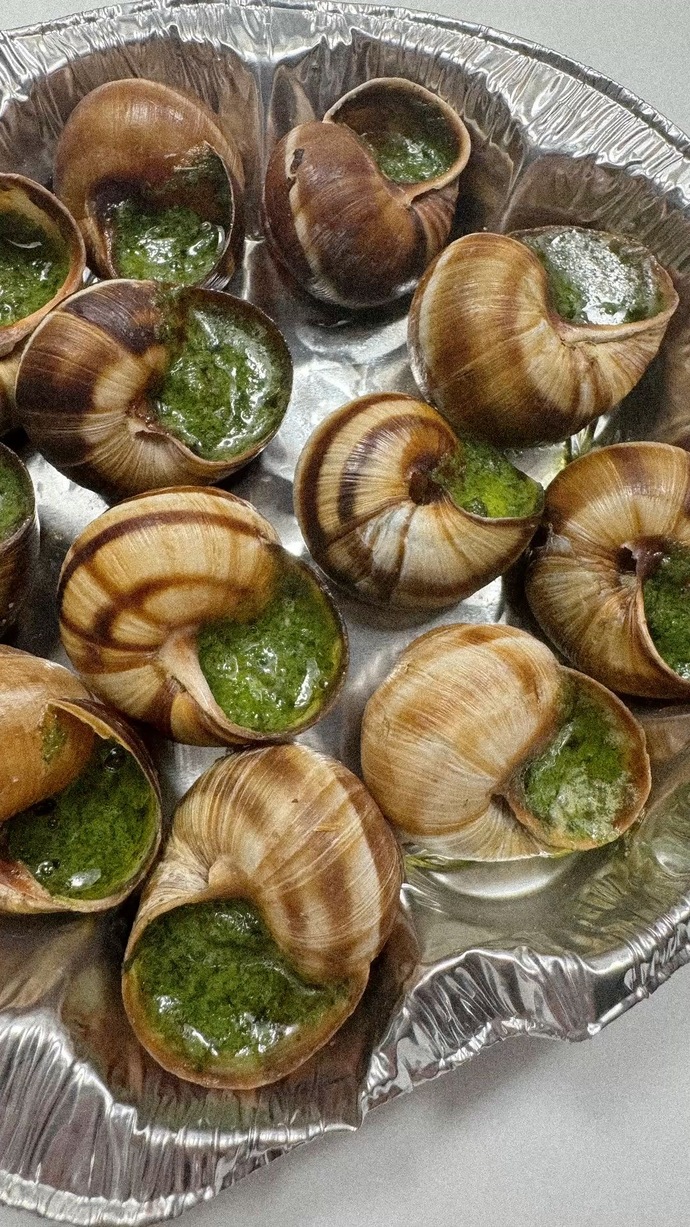 Sülükler temiz hayvanlarmı? neden bu kadar lezzetli 🤤 ?