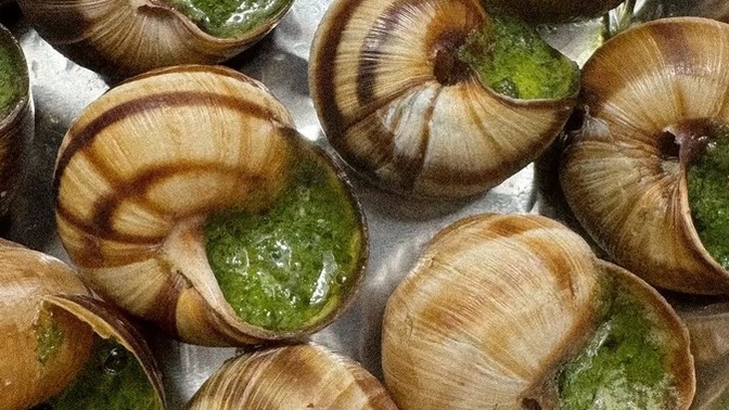 Sülükler temiz hayvanlarmı? neden bu kadar lezzetli 🤤 ?