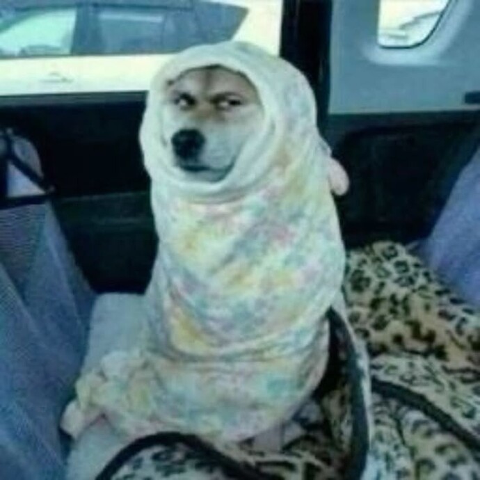Çok gezenin ayağına bk mu bulaşır 🤣🤣?