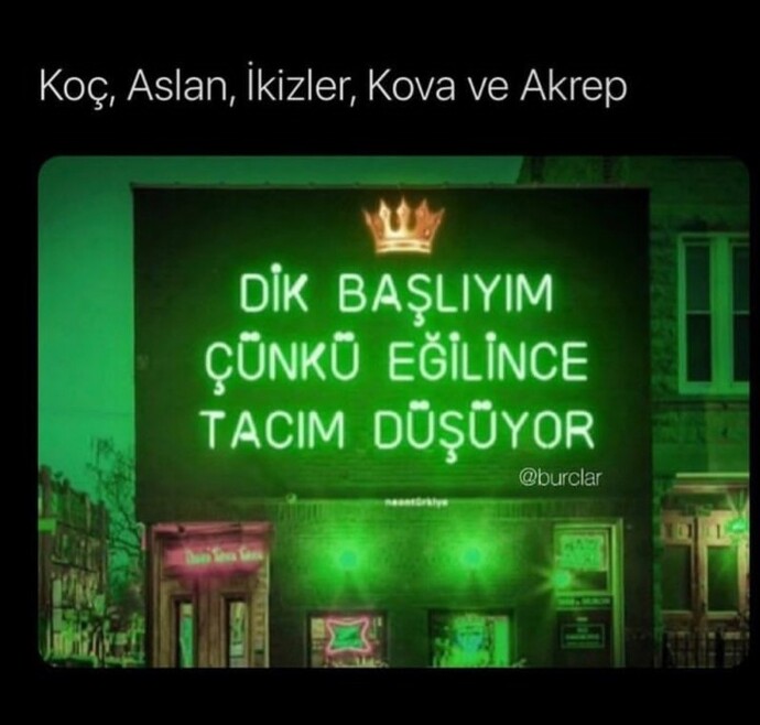 Dik başlı mısın?