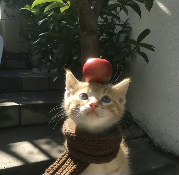 Beğenmediğiniz hediyeyi nasıl değerlendiriyorsunuz?