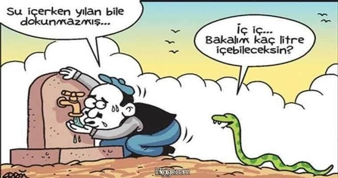En çok korktuğunuz hayvan hangisi ?