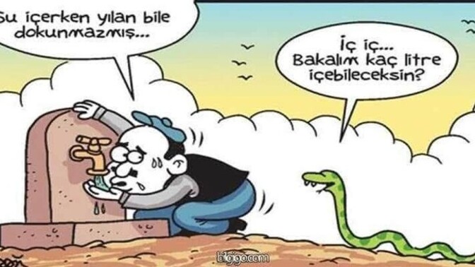 En çok korktuğunuz hayvan hangisi ?