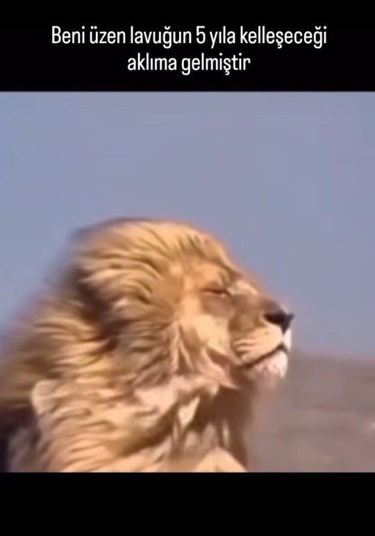 Ahınız tutar mı?