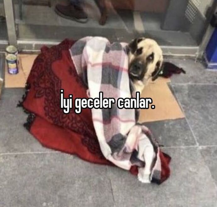 eğer böyle bir şey mümkünse. 