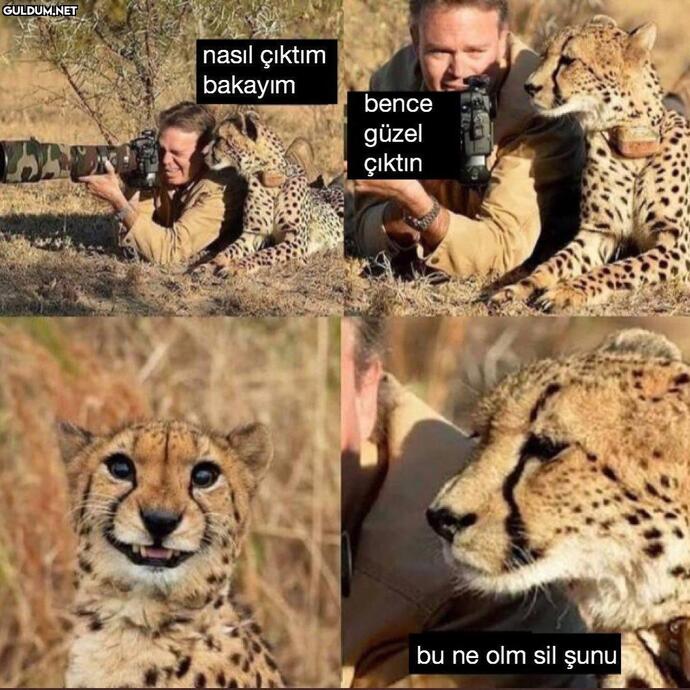 Fotoğraf çekinebilme konusunda ne kadar başarılısınız?