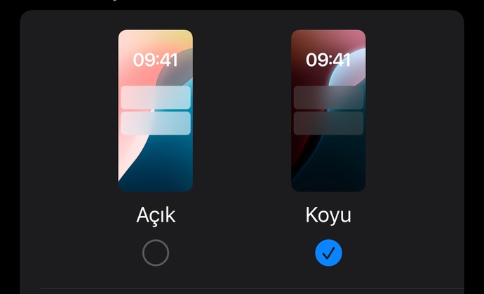 TELEFONUNUZU NASIL KULLANIYORSUNUZ?
