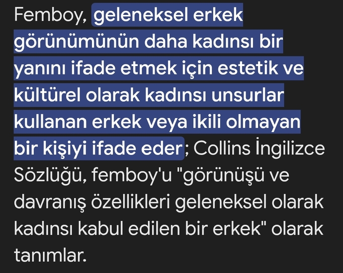 Femboyum herkesin kalbini calisyosun dedi adam?
