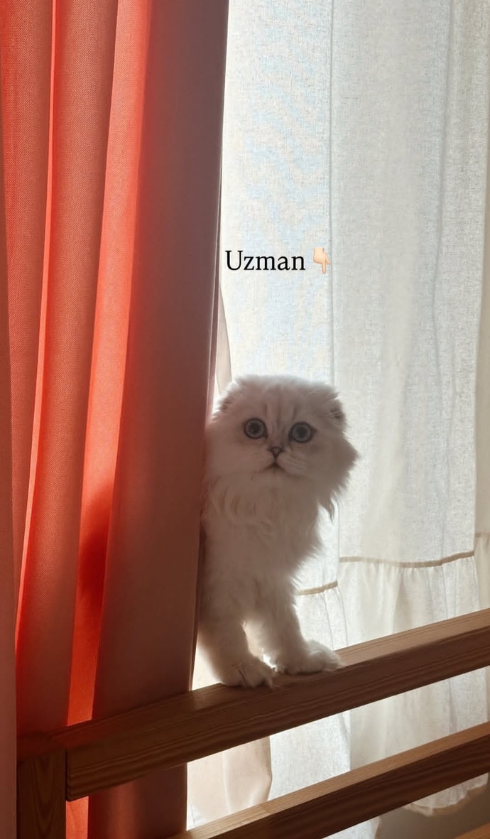 Uyurken kapını açık mı bırakırsın kapalı mı? Neden?
