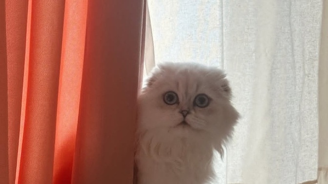 Uyurken kapını açık mı bırakırsın kapalı mı? Neden?