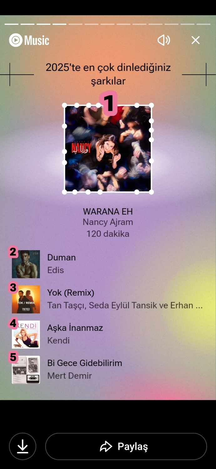 Kimsenin umurunda olmayan yıllık müzik özetlerinizi paylaştınız mı?