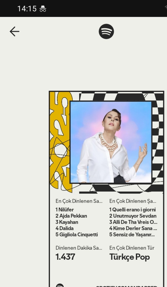 Kimsenin umurunda olmayan yıllık müzik özetlerinizi paylaştınız mı?