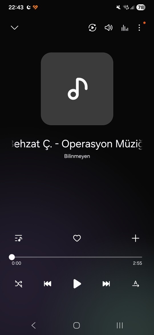 Telefon da müzikleri nerden dinliyorsunuz?