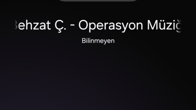 Telefon da müzikleri nerden dinliyorsunuz?