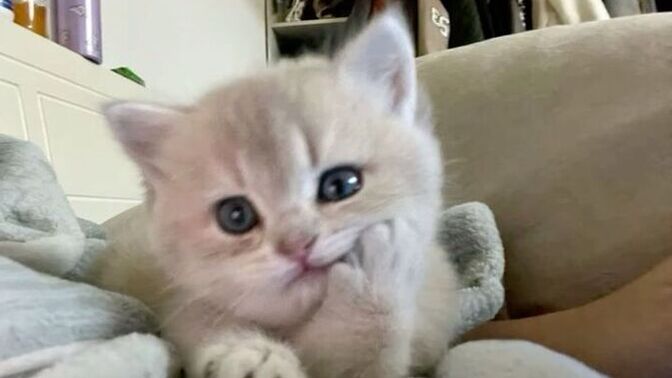 Geceye şarkı bırakalım mı, lütfen?