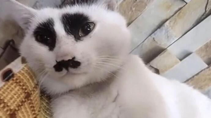 Size çirkin denmesi sizi üzer mi?