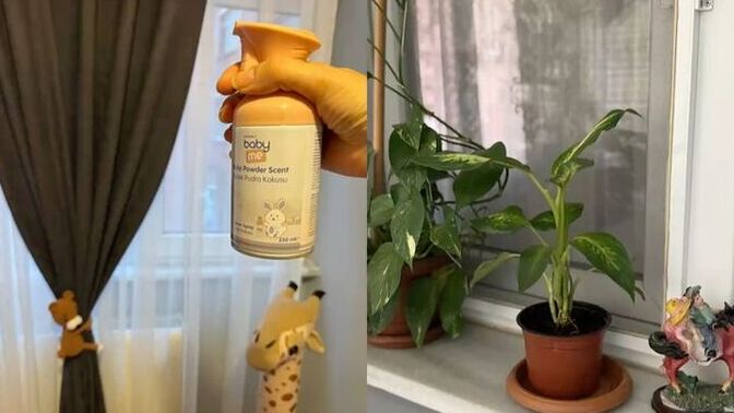 Koskoca evi tek başına temizleyen var mı?