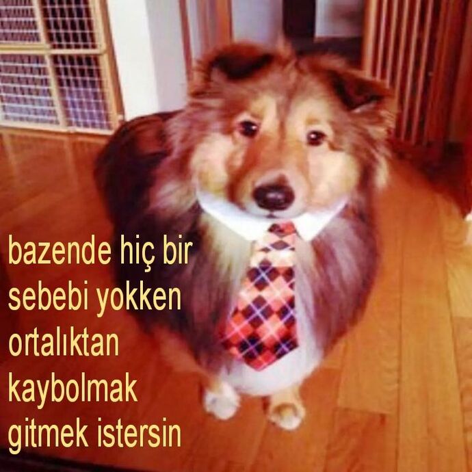 Esenle kalın.