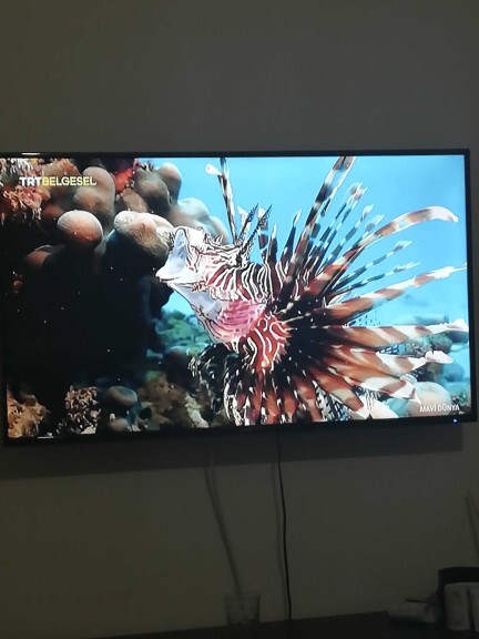 Belgesel programları izlemeyi sever misiniz?