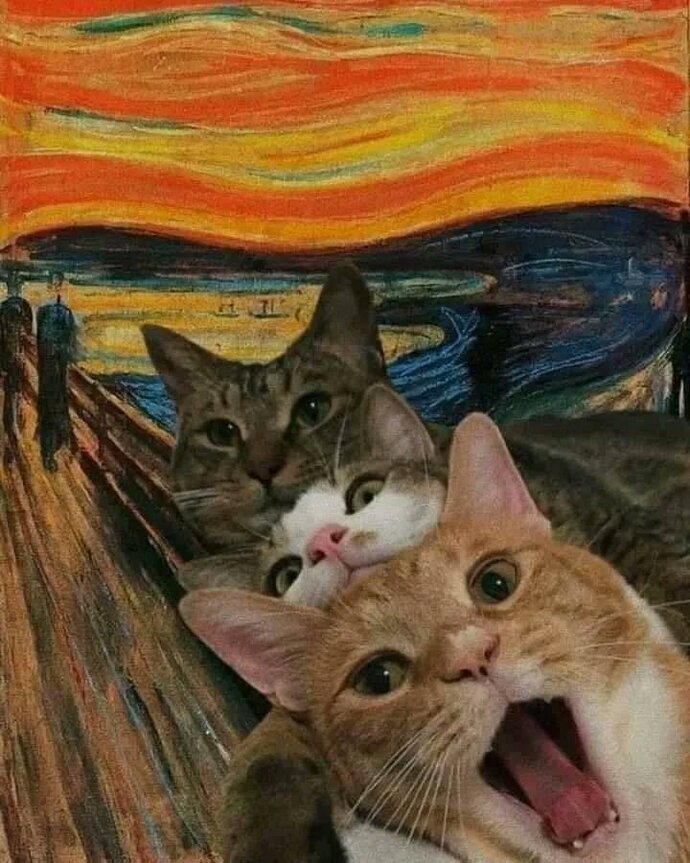 Rafine seker diyetimi bozmaya deger mi sizce?