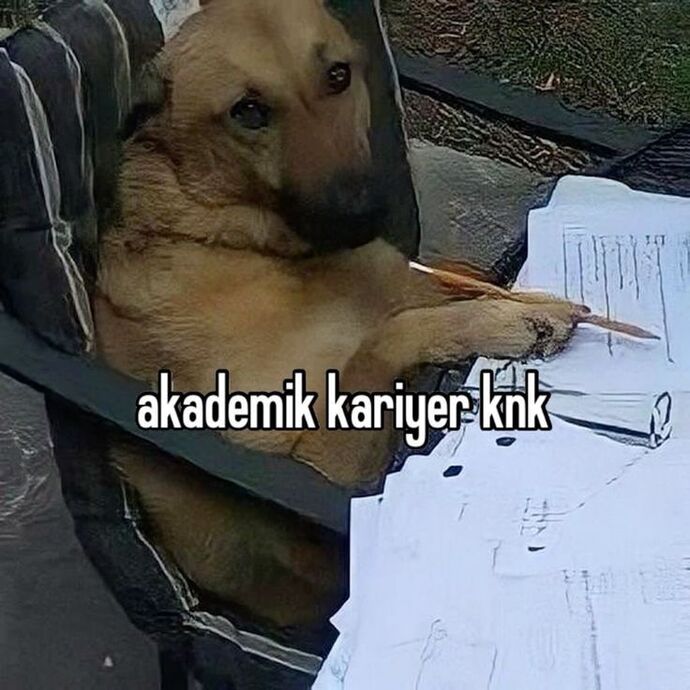 gözümün nuru travmalarım belirlerdi elbette.