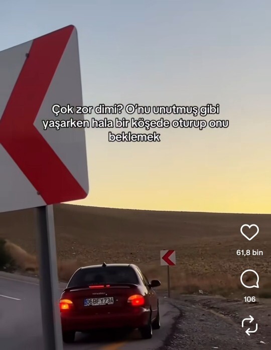 Sevgilim instagramda aşk acılı video beğenmis?