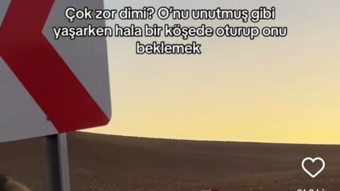 Sevgilim instagramda aşk acılı video beğenmis?
