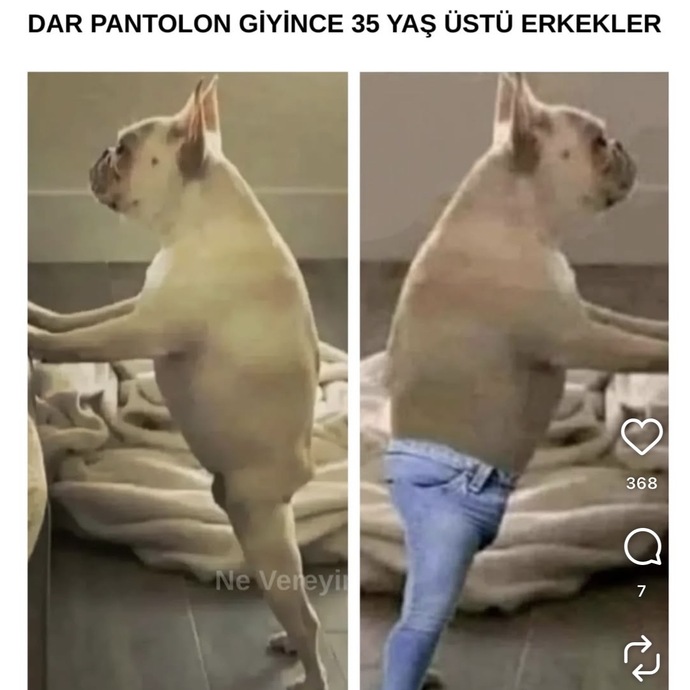 Bu doğru muuu aha?