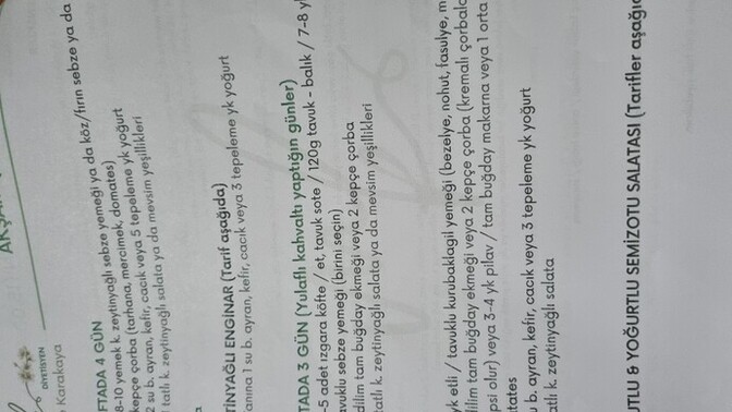 Diyet listem nasıl sizce?