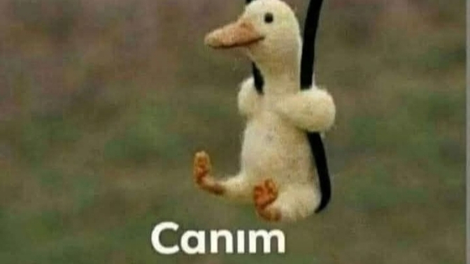 Napyosunuz millet, güne nasl başladnız?
