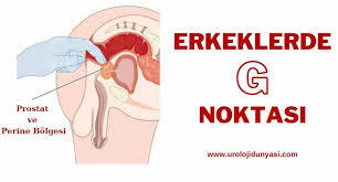 G noktası nasıl oluyor, bulunuyor?